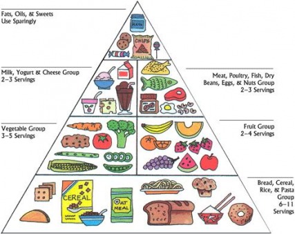 Image result for What Makes up a Healthy Diet?